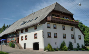 Гостиница Gasthaus Pension Zum Löwen, Графенхаузен